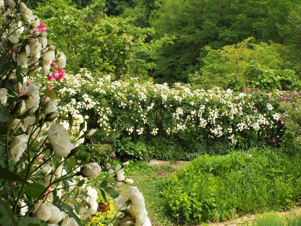 Pension Apple Kaminoyama ภายนอก รูปภาพ