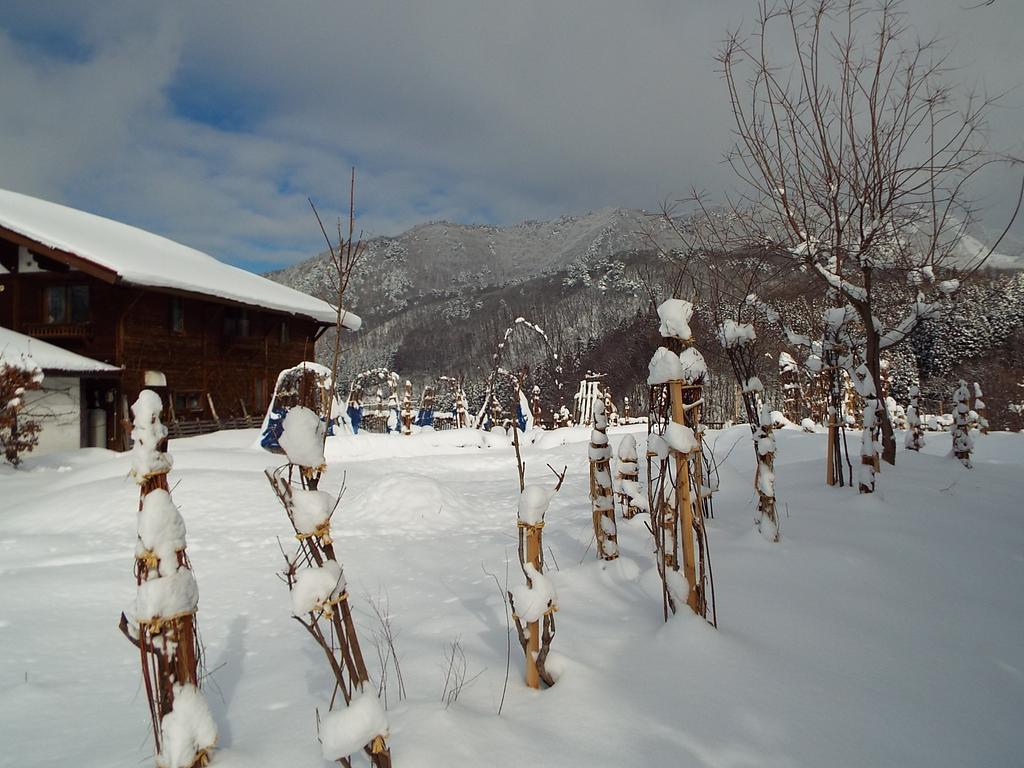 Pension Apple Kaminoyama ภายนอก รูปภาพ